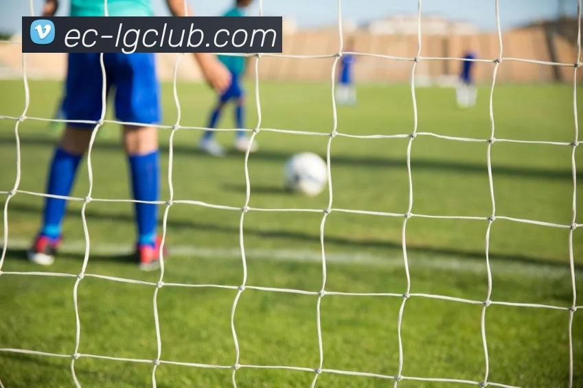 老哥俱乐部官网平台生态图