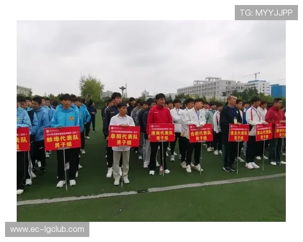 全面解析法兰西足球队历届大赛表现与辉煌历史征程全景纵览概述篇